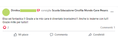 Recensione 11