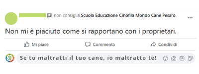 Recensione 13