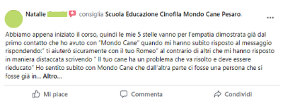 Recensione 14