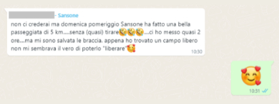 Recensione 16