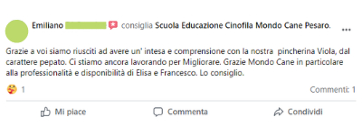 Recensione 5